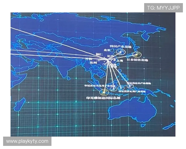 开云中国电子拓展海外市场，提升国际竞争力实现全球布局