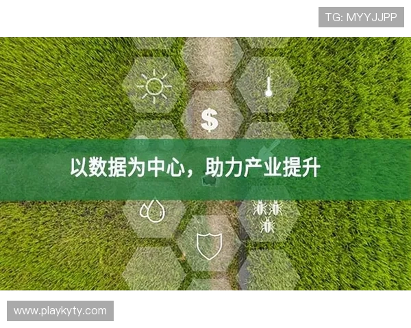 开云体育直营：推动体育产业数字化转型的创新实践