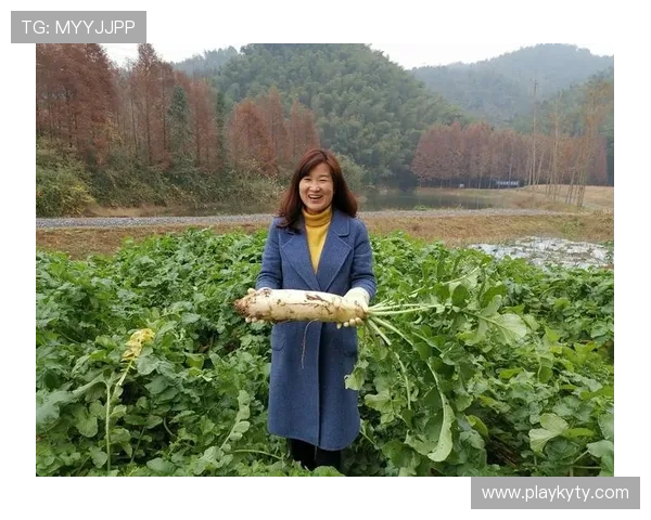 开云官方在线入口登录常见问题及解决方案全面指导玩家快速登录